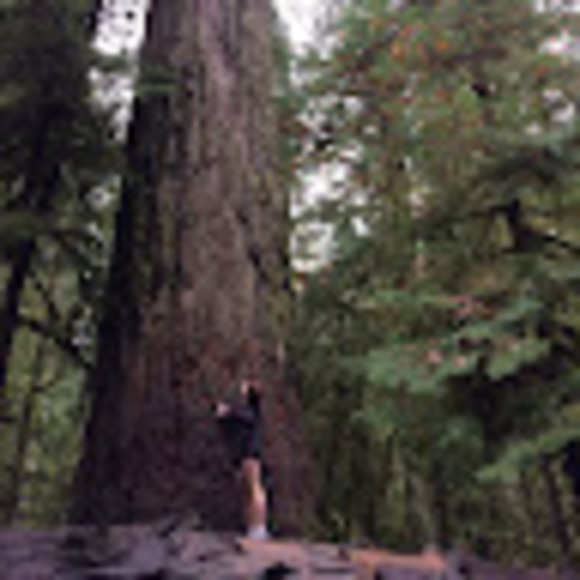 Meet your Posher, Nicola - Picture 1 of 1